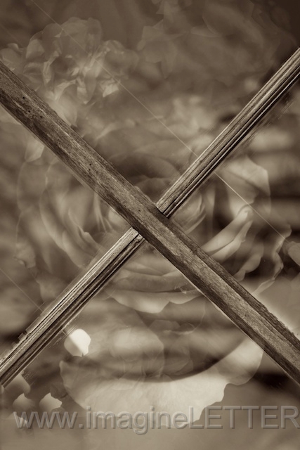 Wall_Art_Alphabet_Photography_Art_ 2481.jpg
